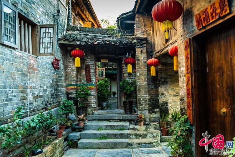 大千世界无奇不有,砍掉一棵1400年的古树的理由会是这么奇葩